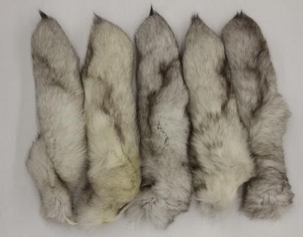 #1 Quality XL Tanned Ranch Blue Fox Tails/Crafts/Real USA Fur Tail/Harley part 