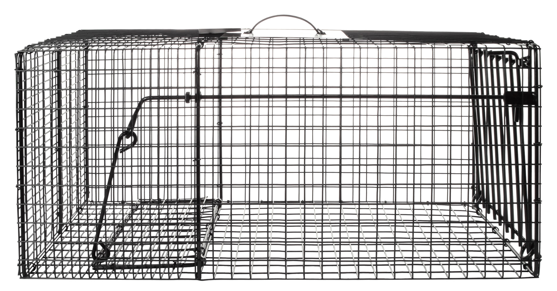 Raccoon Cage Trap