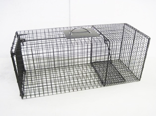 Bridger Bobcat Cage Trap