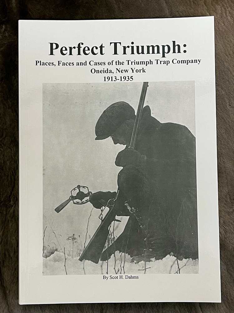 The Perfect Triumph - Scot Dahms - Book