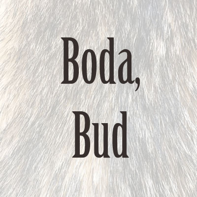 Bud Boda