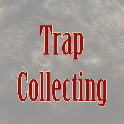 Trap Collecting