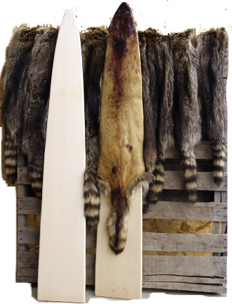 Solid Raccoon Boards (XLARGE)