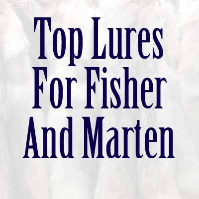 Fisher and Marten
