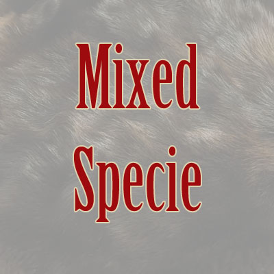 Mixed Specie