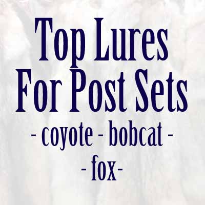 Post Sets - Coyote, Bobcat, Fox