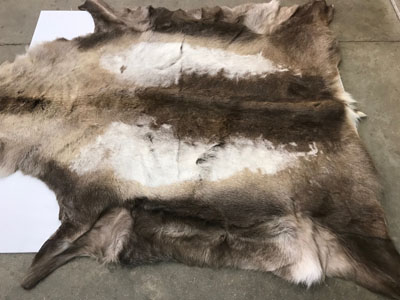 Professionally Tanned Reindeer Hides