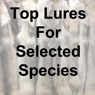 Top Lures by Species